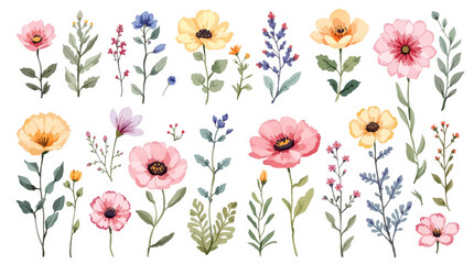 Set of spring flowers, Colorful spring flowers, Set of watercolor flowers, Clipart watercolor flowers	