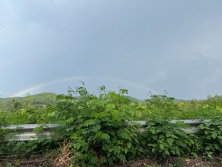Obraz premium rainbow over the river