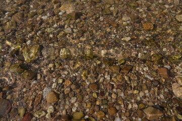 stones in the water on the beach