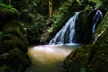 small waterfall in the forest