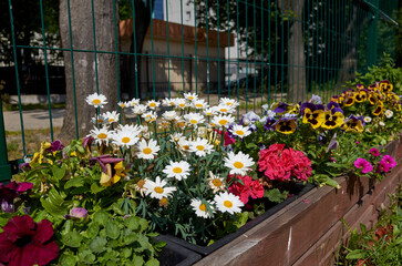 Colorful flower garden with a fence in the background
