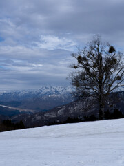 スキー場の斜面