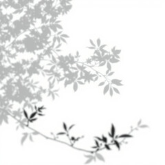 shadow overlay effect. Gray shadow of leaves isolated on white background. Plant foliage leaf shadow light effect. Mockup Blurred tree branch shadow. Ideal for summer spring design elements PNG