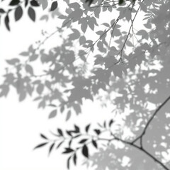 shadow overlay effect. Gray shadow of leaves isolated on white background. Plant foliage leaf shadow light effect. Mockup Blurred tree branch shadow. Ideal for summer spring design elements PNG