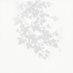 shadow overlay effect. Gray shadow of leaves isolated on white background. Plant foliage leaf shadow light effect. Mockup Blurred tree branch shadow. Ideal for summer spring design elements PNG
