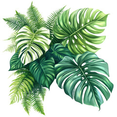 Lush green tropical foliage arrangement featuring various leaves in vibrant colors against a dark background