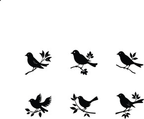 birds silhouettes vector