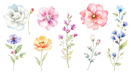 Set of watercolor flowers, set of flowers