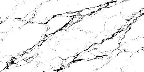 Minimal black and white marble texture with fine organic veining and flowing abstract patterns. Perfect for modern backgrounds, elegant surfaces, or artistic design elements.