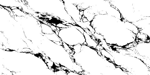 Naklejka premium High-contrast black and white marble texture with natural stone veins. Abstract background ideal for modern design, digital art, print materials, and luxury branding&nbsp;projects.