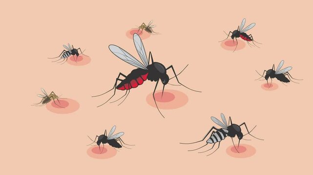 Animation featuring several mosquitoes biting skin and causing red marks in a medical context.