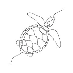 Continuous line of sea turtle marine underwater aquatic ocean animal reptile wildlife sketch drawing editable stroke vector illustration