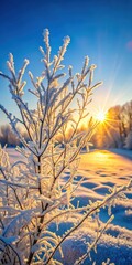 Frozen twigs in hoarfrost glisten in the sun