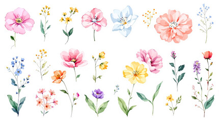 Set of spring flowers watercolor, set of colorful flowers