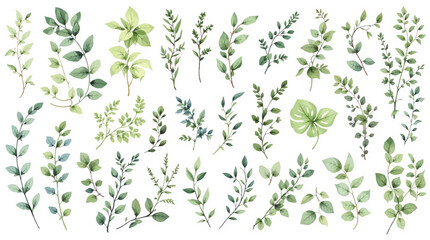 green floral background