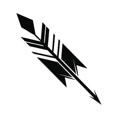 Black Arrow with Feathered Fletching
