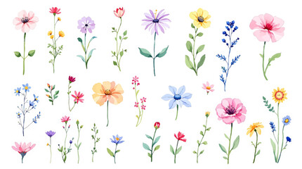 Set bouquet of flowers watrecolor