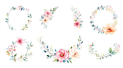 Set of colorful floral elements watrecolor