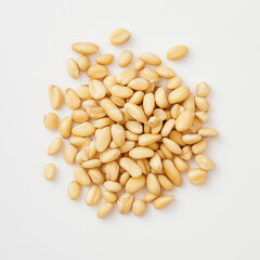 pine nut on white background