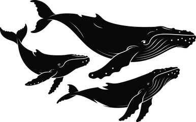 Obraz premium Silhouette of humpback whales family ocean wildlife