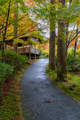 Fototapeta premium The beautiful Sanzen-in Temple in Ohara during fall season. Kyoto, Japan.