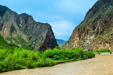 Picturesque landscape with a full-flowing stormy mountain river in the mountains of the North Caucasus, Dagestan. Russia