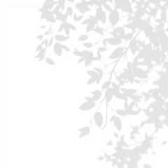 Fototapeta premium shadow overlay effect. Gray shadow of leaves isolated on white background. Plant foliage leaf shadow light effect. Mockup Blurred tree branch shadow. Ideal for summer spring design elements PNG
