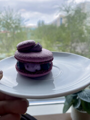 Purple berry macaron dessert with meringue on white plate. Elegant minimalistic presentation of French pastry. Close-up of gourmet sweet treat for bakery, cafe, or food blog concept.