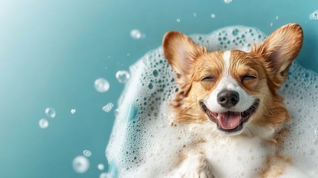 A joyful corgi relaxing in a bubbly bath with a radiant smile, showcasing the playful and heartwarming connection between pets and their owners in a vibrant setting.