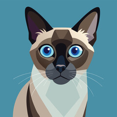 vector illustration of a cat