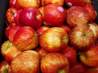 A close-up shot of a pile of red and yellow apples.  The apples are ripe, juicy and full of color.