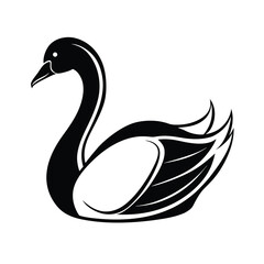 Obraz premium elegant black swan vector illustration silhouette