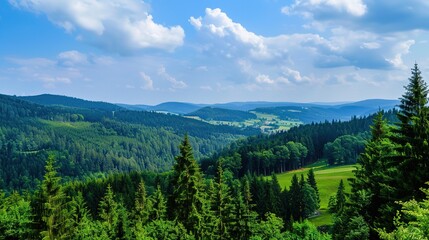 Fototapeta premium Scenery of the Black Forest in Germany: Enchanting Landscapes, Historic Villages, and Natural Wonders in Southern Germany