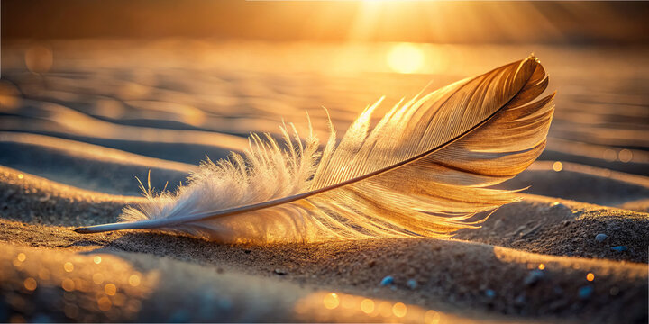 A delicate feather lies on soft sand, illuminated by the warm glow of the setting sun. This tranquil moment highlights nature's elegance and simplicity