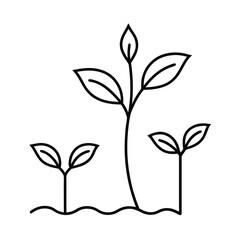 plant growth stages seedling development vector art