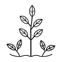 plant growth stages seedling development vector art