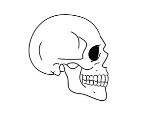 skull vector side