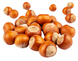 Obraz premium Freshly Harvested Hazelnuts Piled Together on a White Background with a Few Nuts Scattered Around