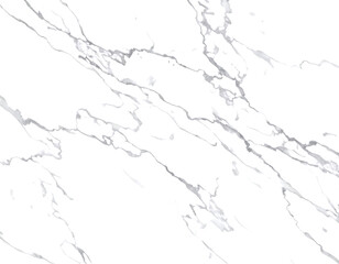 Elegant Black and White Marble Texture with Striking Veins and Natural Patterns for Design Use