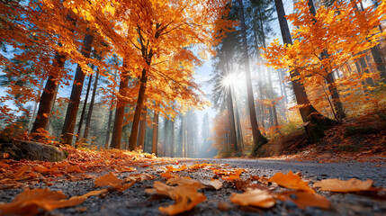 Fototapeta premium Sunlight filters through trees in a picturesque autumn forest. Vibrant orange and yellow leaves blanket the ground on a serene path. Concept of nature, outdoor recreation, environmental awareness