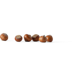 A line of hazelnuts arranged neatly, showcasing their smooth, brown shells.