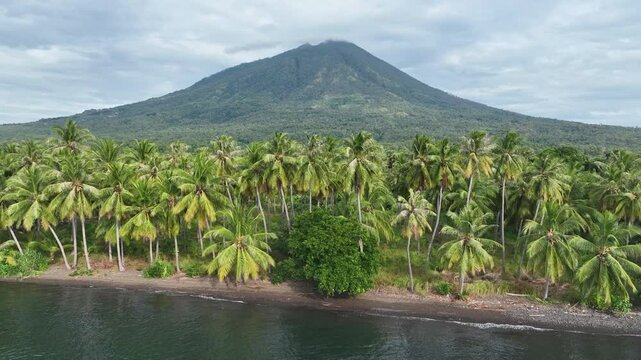 The volcanic island of Adonara, in the Lesser Sunda Islands of Indonesia, is fringed by palm trees along its coast. This tropical region supports some of the world's greatest marine biodiversity.