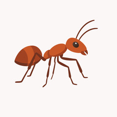 Ant vector art on white background