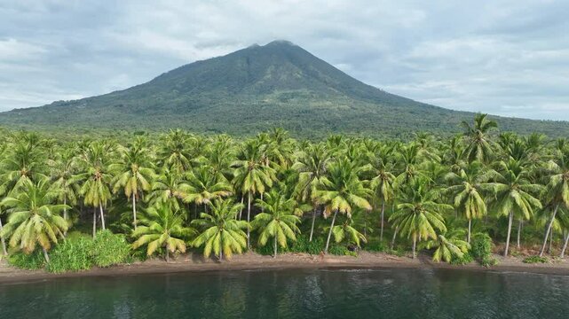 The volcanic island of Adonara, in the Lesser Sunda Islands of Indonesia, is fringed by palm trees along its coast. This tropical region supports some of the world's greatest marine biodiversity.