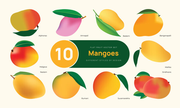 10 Famous Mango Varieties Collection