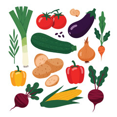A vibrant collection of fresh, healthy vegetables including tomato, carrot, onion, pepper, cucumber, eggplant, and cabbage, isolated on white