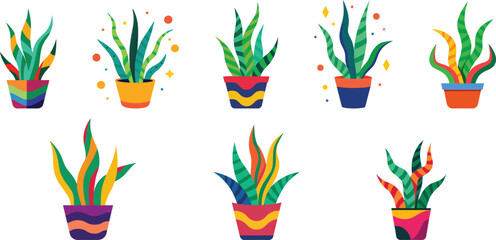 Snake plant in pot set vector illustration