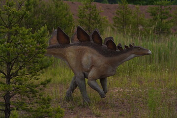 red tailed deer © Svetlana