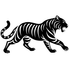 Fototapeta premium Black and white tiger isolated on white background