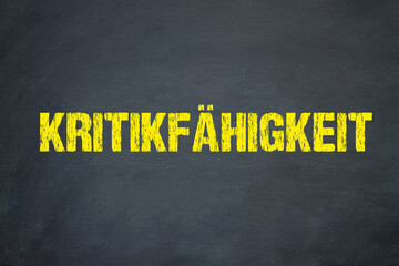 Kritikfähigkeit	
